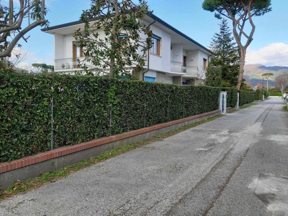 Villa Alcione Forte dei Marmi Exteriör bild